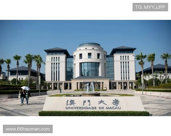 全面解析澳门各大官方平台网站的功能与特色